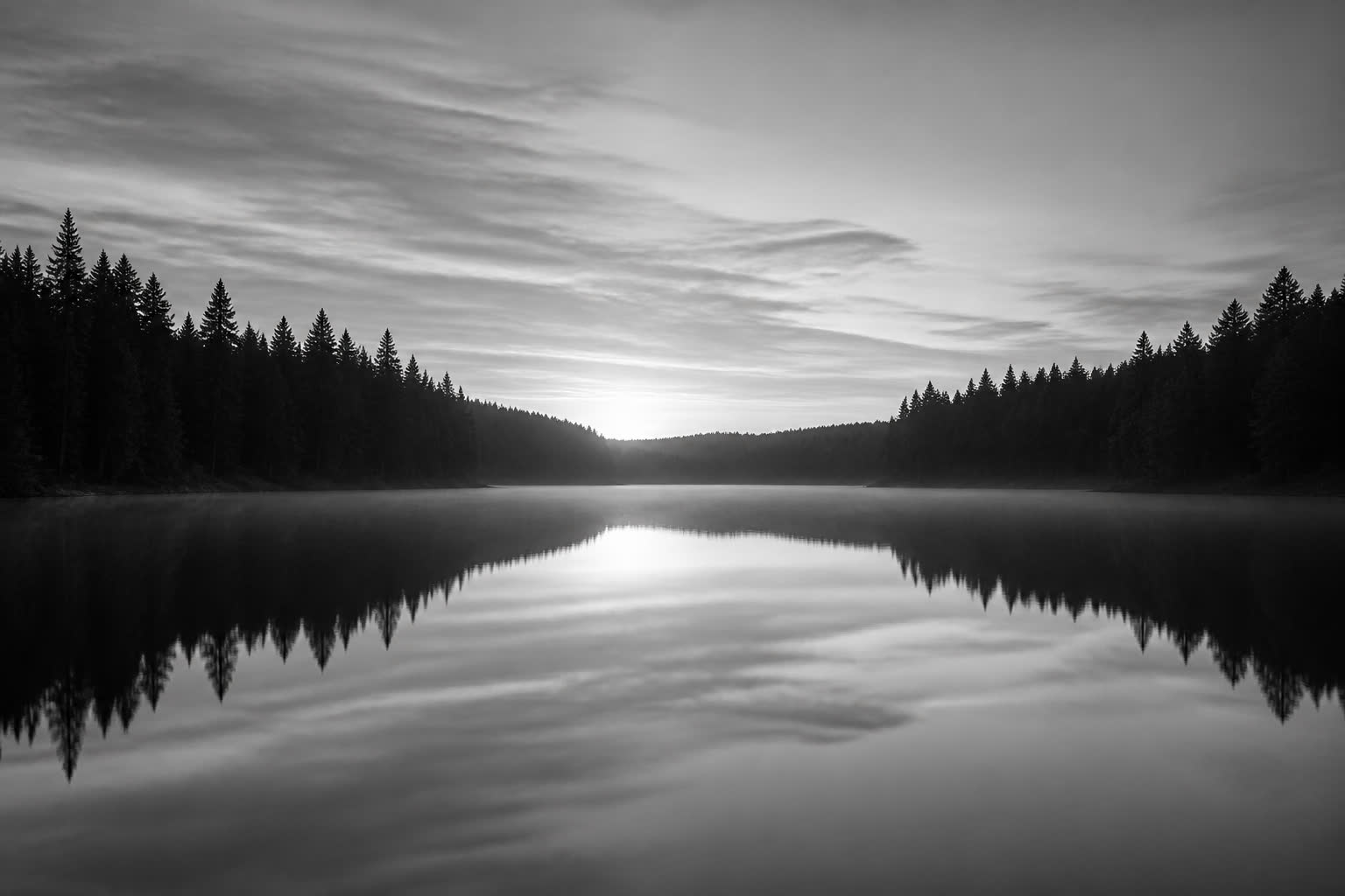 Black-and-white still lake at first light with a dark treeline
