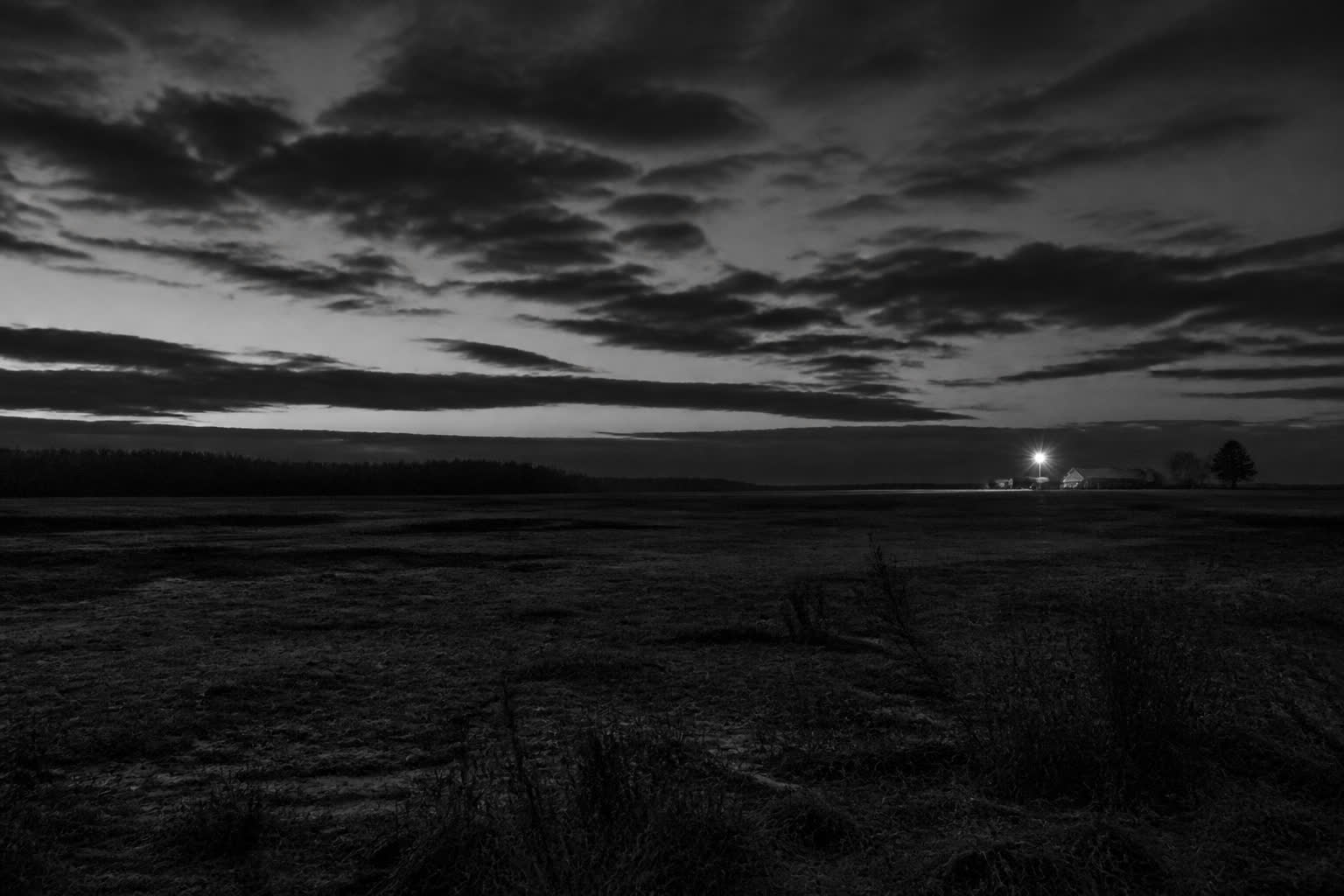 Black-and-white predawn field with a single distant farm light