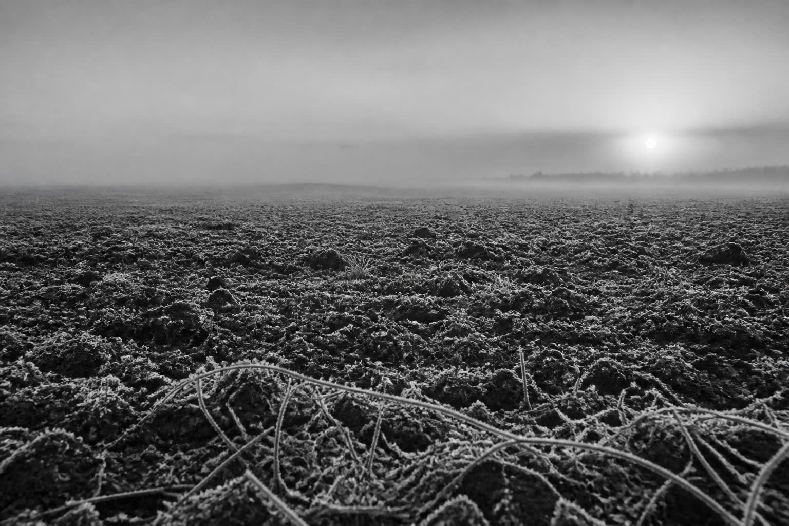 Black-and-white frost on an empty plowed field at dawn